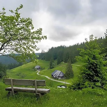 Schwarzwaldglueck Loft Hotel