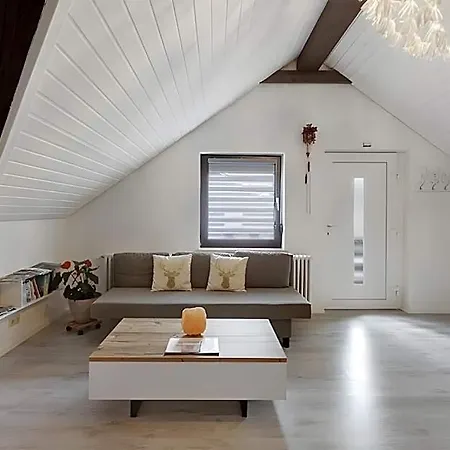 Schwarzwaldglueck Loft Hotel 3*