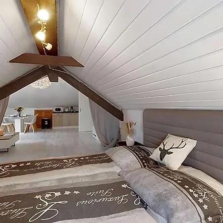 Schwarzwaldglueck Loft 3* Höchenschwand