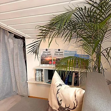 Schwarzwaldglueck Loft 3*